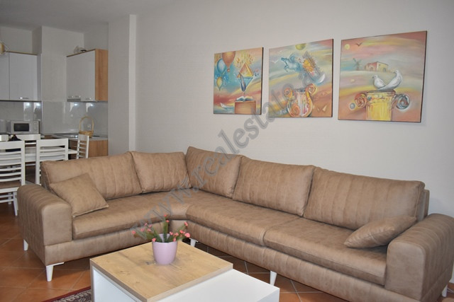 One bedroom apartment available for rent on Hamdi Garunja Street in Tirana, Albania.&nbsp;
The apar